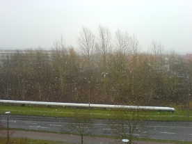 Schnee in Greifswald