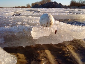 Golfball auf Eisscholle