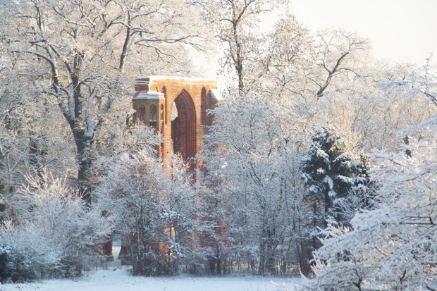 Klosterruine Eldena im Schnee